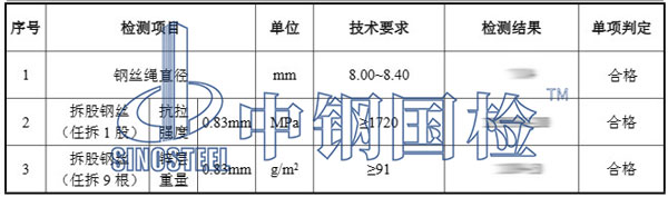 被動防護網(wǎng)檢測項目結果