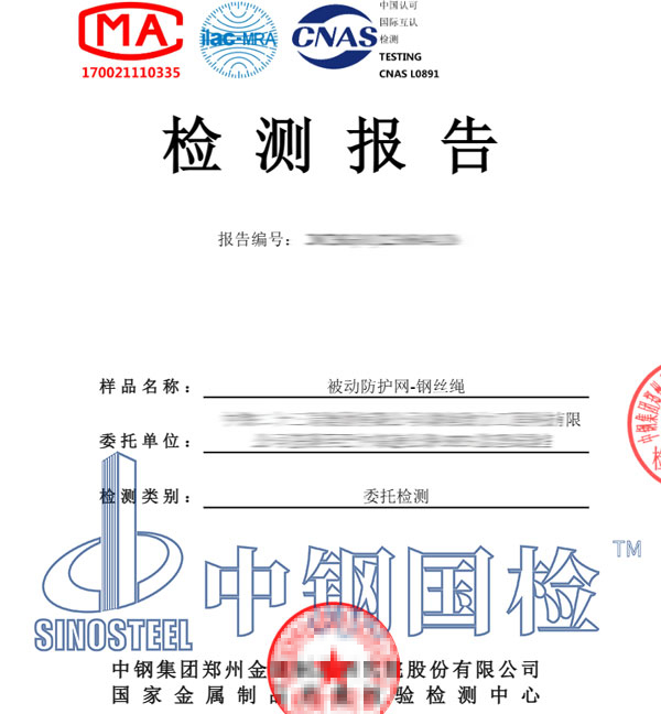 被動防護網(wǎng)檢測報告
